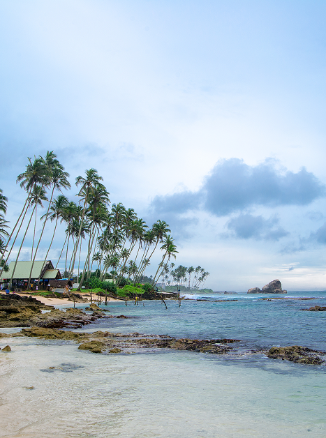 7 Days / 6 Nights – Discover the Best of Sri Lanka Private Tour — photo 5