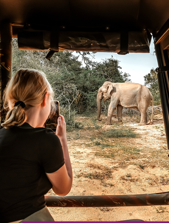 7 Days / 6 Nights – Discover the Best of Sri Lanka Private Tour — photo 1